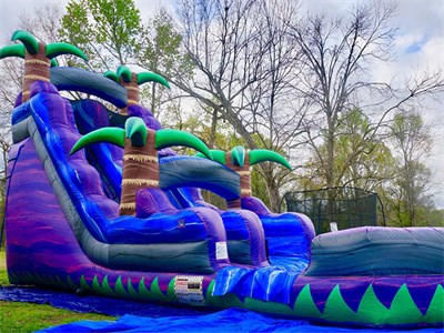 18Ft Purple Crush Water Slide Inflatable Palm Tree Water Slide